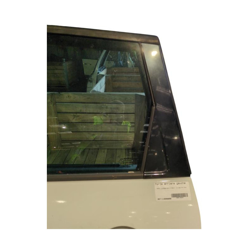 Porte arriere gauche RENAULT SCENIC 3 Photo n°1