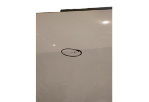 Porte arriere gauche RENAULT SCENIC 3 Photo n°5