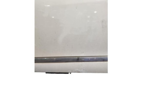 Porte avant gauche RENAULT SCENIC 3 Photo n°10