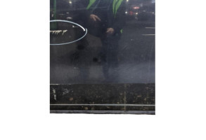 Porte avant gauche VOLKSWAGEN SHARAN 2 Photo n°10