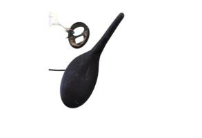 Antenne CITROEN C5 2 Photo n°1