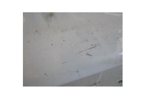 Malle/Hayon arriere SMART FORTWO 2 Photo n°2