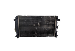 Radiateur eau VOLKSWAGEN CRAFTER 1 Photo n°1