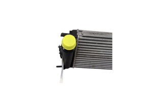Echangeur air (Intercooler) RENAULT CAPTUR 1 Photo n°2