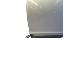 Porte arriere gauche RENAULT MEGANE 3 Photo n°2