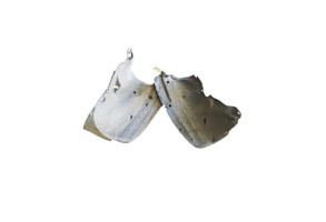 Pare boue avant gauche RENAULT CLIO 3 Photo n°2