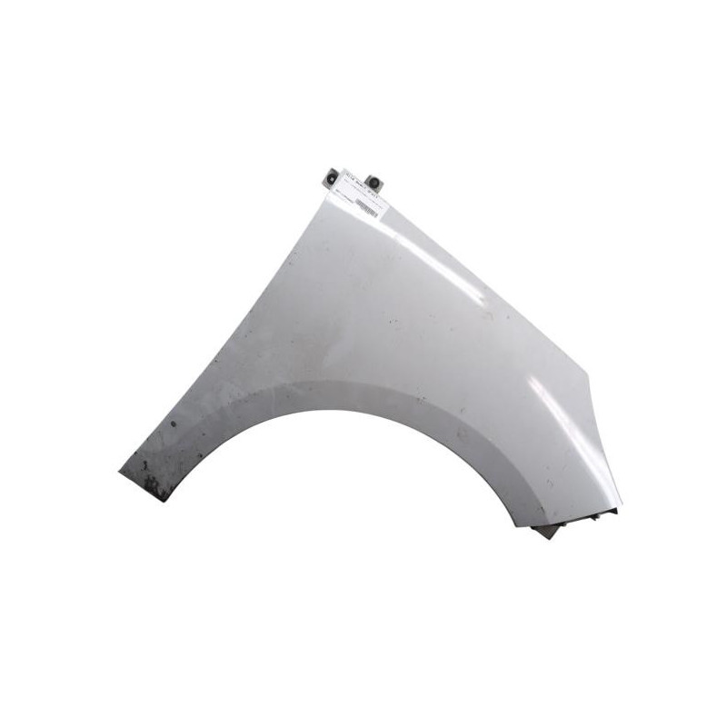 Aile avant droit RENAULT SCENIC 3 Photo n°1