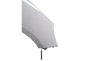 Aile avant droit RENAULT SCENIC 3 Photo n°4