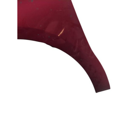 Aile avant gauche CITROEN C4 2