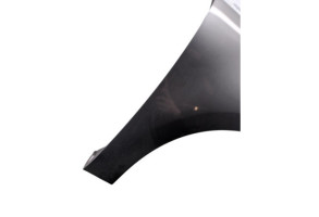 Aile avant droit RENAULT SCENIC 3 Photo n°3