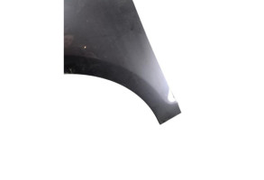 Aile avant gauche RENAULT SCENIC 3 Photo n°3