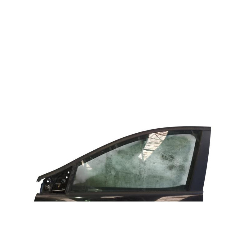 Porte avant gauche RENAULT MEGANE 3 Photo n°1