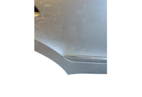 Porte arriere droit MERCEDES CLASSE M 164 Photo n°5