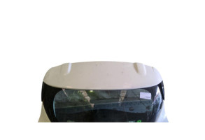 Malle/Hayon arriere RENAULT CLIO 4 Photo n°1