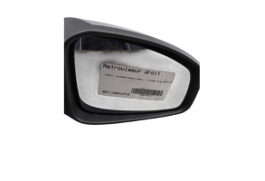 Retroviseur droit RENAULT MEGANE 3 Photo n°6
