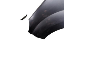 Aile avant gauche RENAULT TWINGO 2 Photo n°3