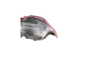 Pare choc arriere VOLKSWAGEN POLO 5 Photo n°1