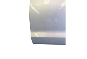 Porte arriere gauche VOLKSWAGEN POLO 5 Photo n°2