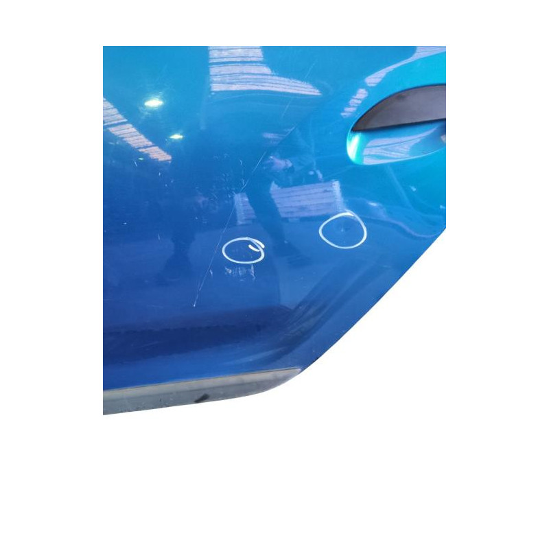 Porte arriere gauche DACIA SANDERO 2 Photo n°1