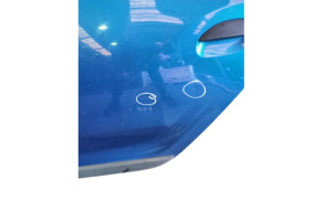 Porte arriere gauche DACIA SANDERO 2 Photo n°1