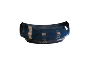 Malle/Hayon arriere RENAULT TALISMAN Photo n°6