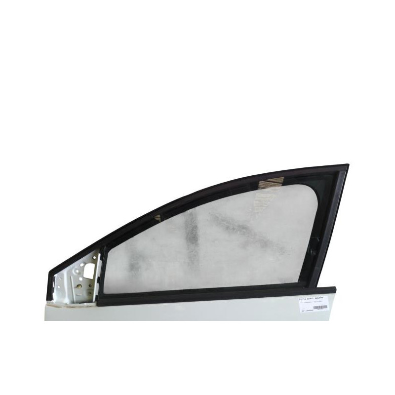 Porte avant gauche DACIA SANDERO 3 Photo n°1