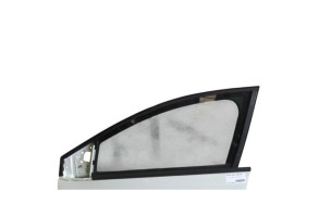 Porte avant gauche DACIA SANDERO 3 Photo n°1