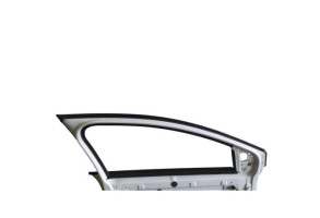 Porte avant gauche DACIA SANDERO 3 Photo n°6