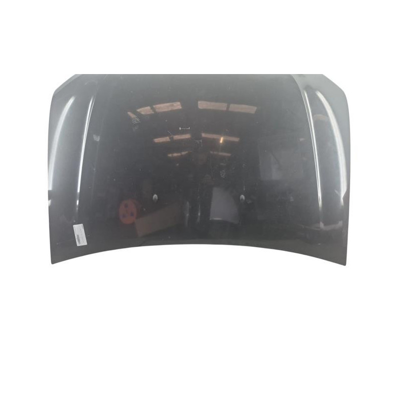 Capot DACIA DUSTER 1 Photo n°1