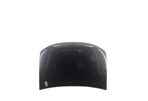 Capot DACIA DUSTER 1 Photo n°4