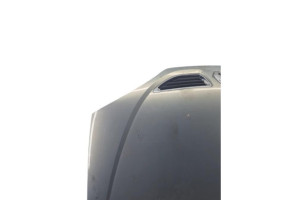 Capot RENAULT MEGANE 1 Photo n°1