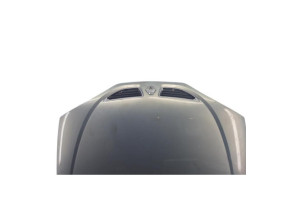 Capot RENAULT MEGANE 1 Photo n°7