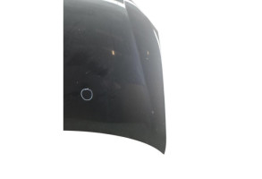 Capot VOLKSWAGEN GOLF 6 Photo n°1