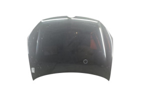 Capot VOLKSWAGEN GOLF 6 Photo n°6