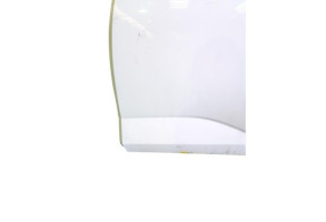 Porte arriere gauche DACIA SANDERO 3 Photo n°8