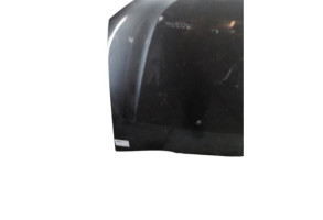 Capot SMART FORTWO 3 Photo n°2