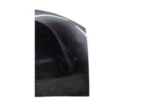 Capot SMART FORTWO 3 Photo n°6