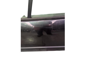 Porte avant gauche RENAULT GRAND SCENIC 2 Photo n°4