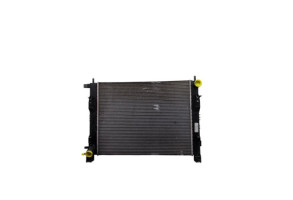 Radiateur eau DACIA SANDERO 2 Photo n°2