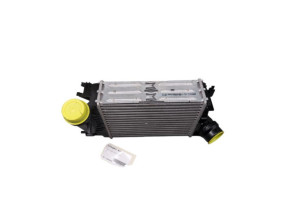 Echangeur air (Intercooler) RENAULT TALISMAN Photo n°4