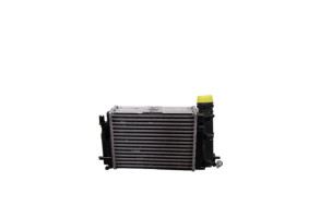 Echangeur air (Intercooler) RENAULT TALISMAN Photo n°5