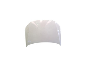 Capot VOLKSWAGEN POLO 5 Photo n°1