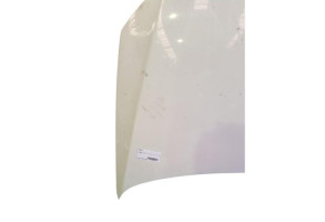 Capot VOLKSWAGEN POLO 5 Photo n°4