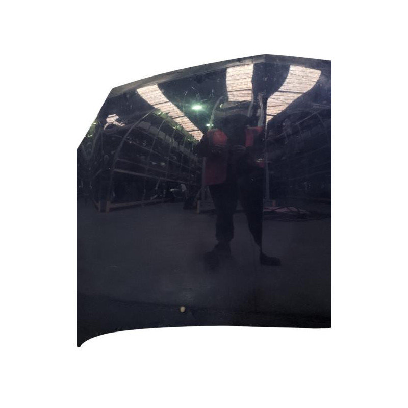 Capot RENAULT CLIO 2 Photo n°1