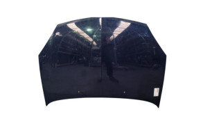 Capot RENAULT CLIO 2 Photo n°2