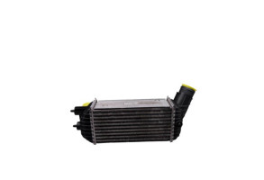 Echangeur air (Intercooler) PEUGEOT 3008 1 Photo n°1