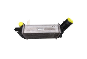 Echangeur air (Intercooler) PEUGEOT 3008 1 Photo n°2