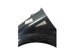 Aile avant gauche RENAULT GRAND SCENIC 2 Photo n°5