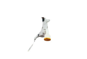 Vase de lave glace RENAULT ARKANA Photo n°2