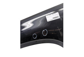 Aile avant gauche VOLKSWAGEN TIGUAN 1 Photo n°8